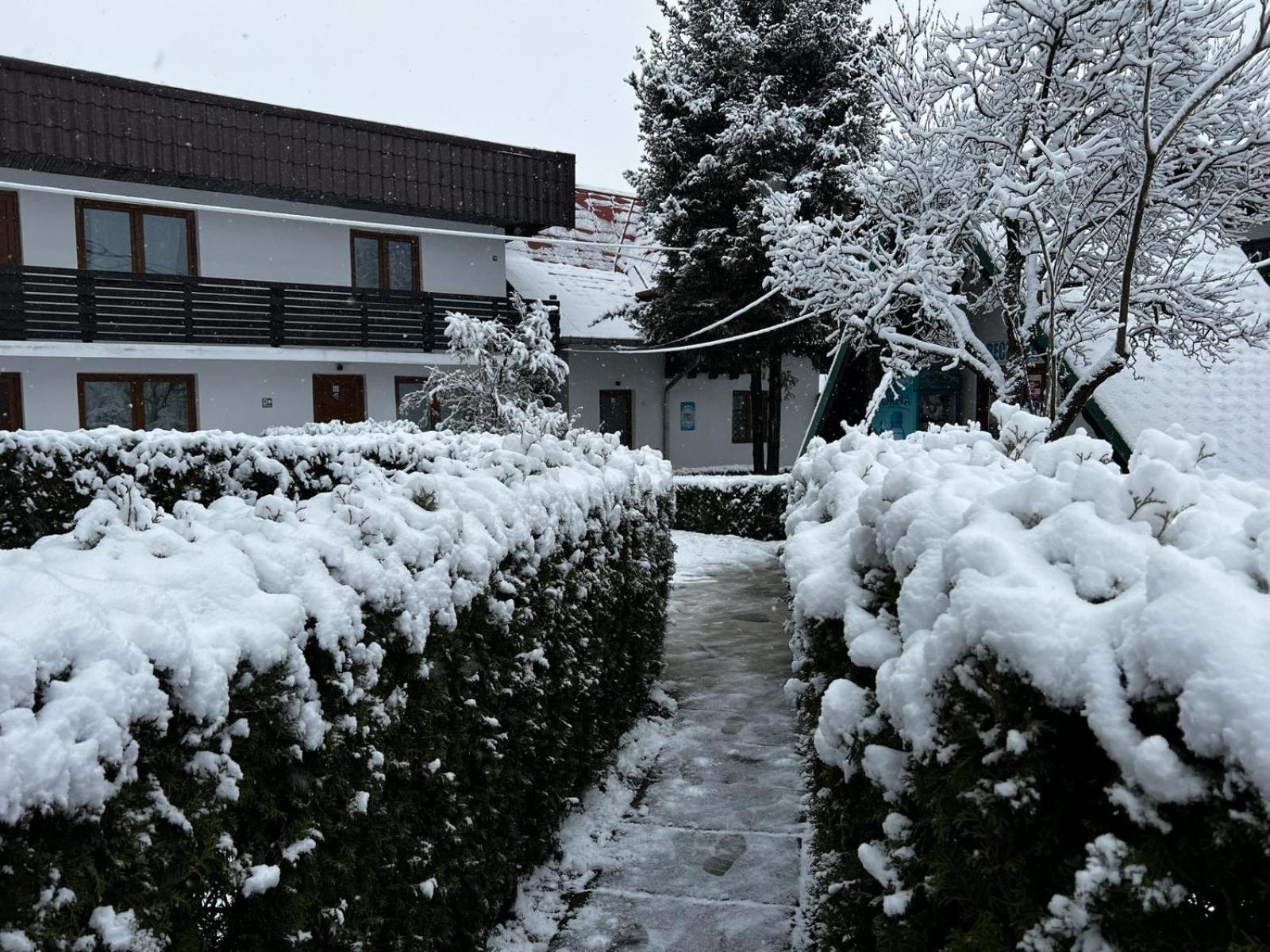 Pensiunea Bavaria Campina Exterior photo